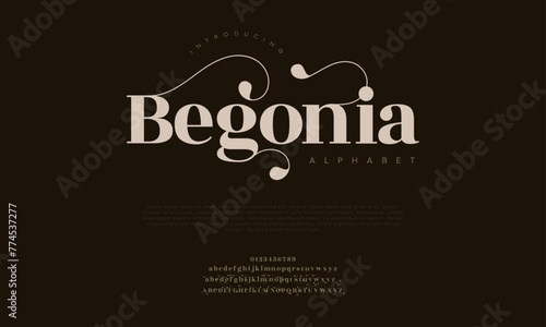 Begonia elegant Font Uppercase Lowercase and Number. Classic Lettering Minimal Fashion Designs. Typography modern serif fonts regular decorative vintage concept. vector illustration