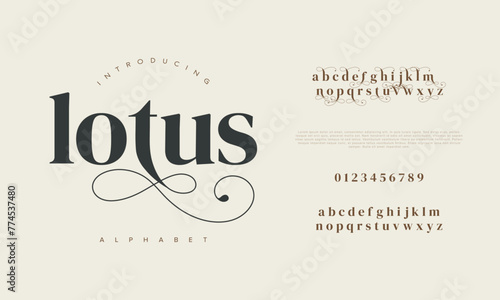 Lotus elegant Font Uppercase Lowercase and Number. Classic Lettering Minimal Fashion Designs. Typography modern serif fonts regular decorative vintage concept. vector illustration