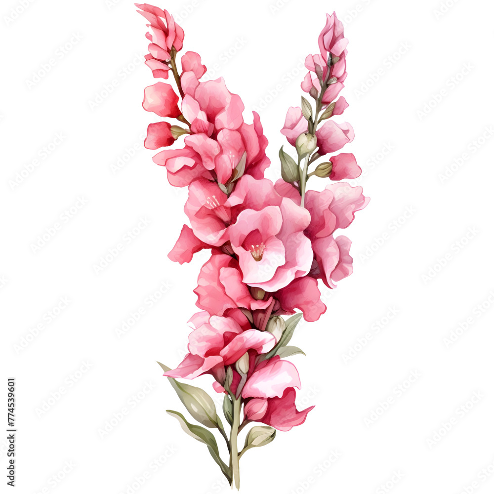 flower watercolor banner, Snapdragon, isolated on white background, Rustic romantic style, Floral design frame, Can be used for cards, wedding invitations.