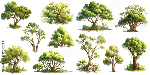 Watercolor tree clipart for graphic resources