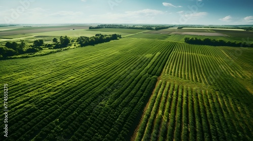 A bird s-eye view of a sustainable agriculture landscape