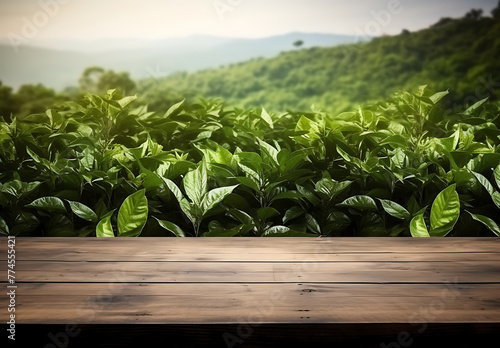 Wooden tables overlook the hills of vibrant green tea plantations  making them perfect for displaying products. Generative AI