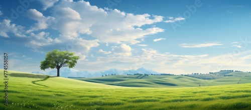 A solitary tree rises majestically from the heart of a lush green field, surrounded by the beauty of nature