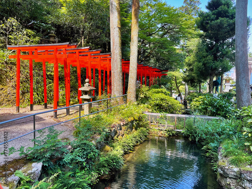 Tranquility at Inaba Shrine: Capturing Japan's Spiritual Essence, Gifu, Japan
