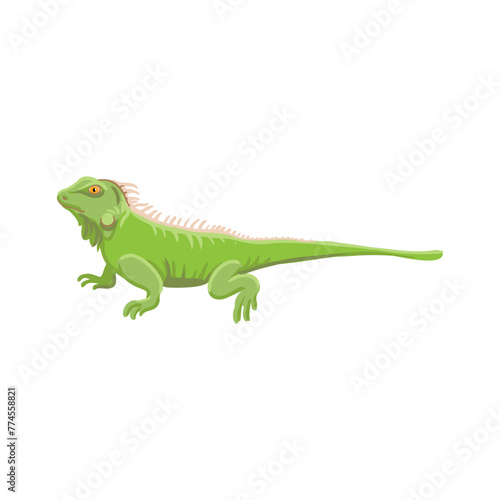 vector drawing green iguana isolated at white background, hand drawn illustration