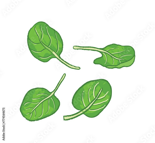 Different angles of spinach leaves
