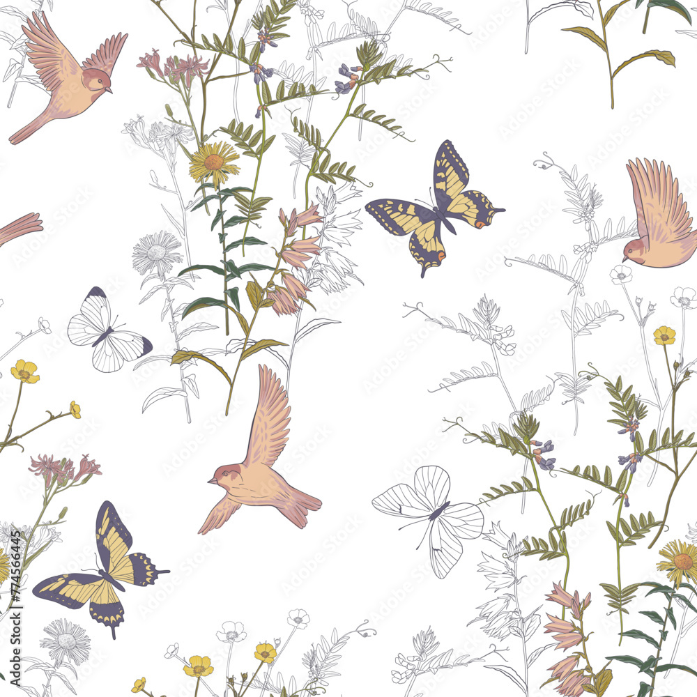 seamless pattern with field flowers, bird and butterflies, vector drawing wild plants at white background , hand drawn natural illustration - obrazy, fototapety, plakaty 
