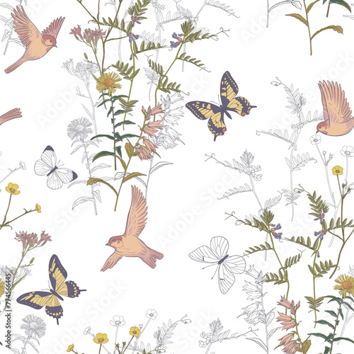 seamless pattern with field flowers, bird and butterflies, vector drawing wild plants at white background , hand drawn natural illustration