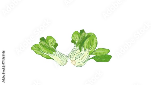 Raw whole Pak choi vegetables