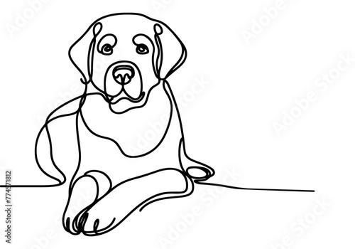 Continuous one black line drawing of dog outline doodle vector illustrationon white background