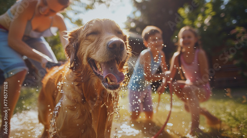 Smiling mother, Daughter, Son Play With Loyal Golden Retriever Dog, Spraying Each other with Garden Water Hose. On a Sunny Day Family Having Fun Time Together Outdoors in Backyard.