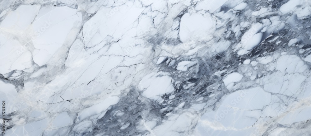 Close-up view showcasing a marble surface with an intricate black and white pattern, creating a visually appealing design Close-up view showcasing a marble surface with an intricate black and white pattern, creating a visually appealing design