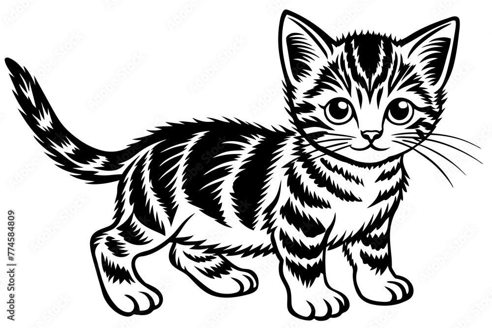 baby cat silhouette vector illustration