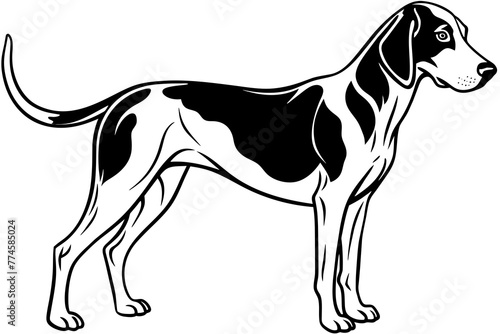 american foxhound silhouette vector illustration