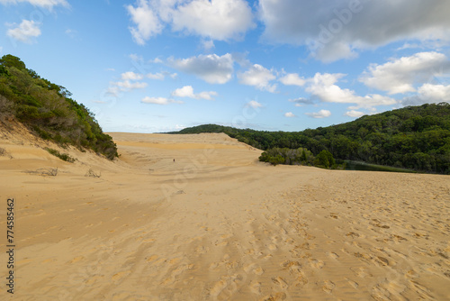Sand dune near Lake Wabby on the sand island of K’gari (Fraser Island), Queensland, Australia