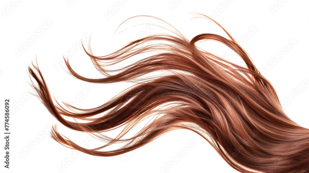 Brown hair in shape isolated on a white background,