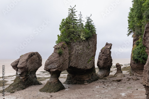 hauts rochers érodés en bord de mer lors d'une marée basse avec des arbres au sommet et une plage de sable lors d'une journée ennuagée