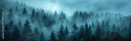 Mystical Schwarzwald: Panoramic View of Rising Fog and Dark Forest Trees in Germany's Enchanting Black Forest