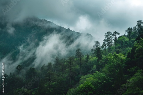 A misty mountain forest scene  the fog weaves through the trees  creating a mystical and serene atmosphere