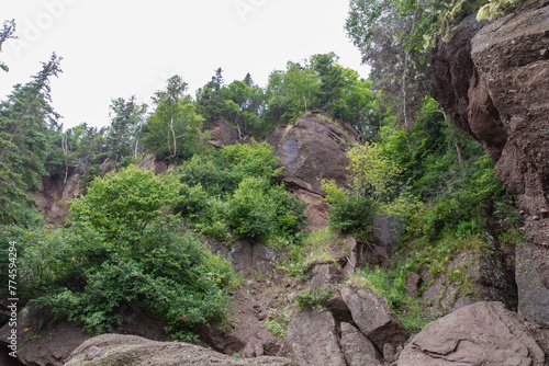 haute falaise érodée avec des arbres qui y poussent lors d'une journée ennuagée d'été