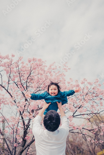 桜と高い高いされる子ども photo