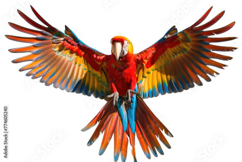 A vibrant parrot with its wings spread wide, isolated on a white background