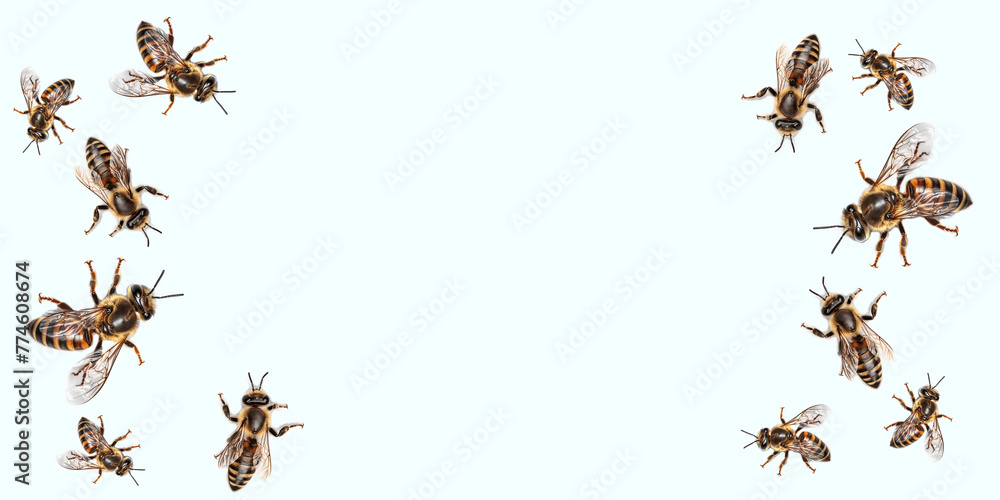 World Bee Day.Honey and bee insect macro shot. A bee collecting pollen. Honey bee walking isolated on transparent background cutout. Ai illustration. A bee collecting pollen.