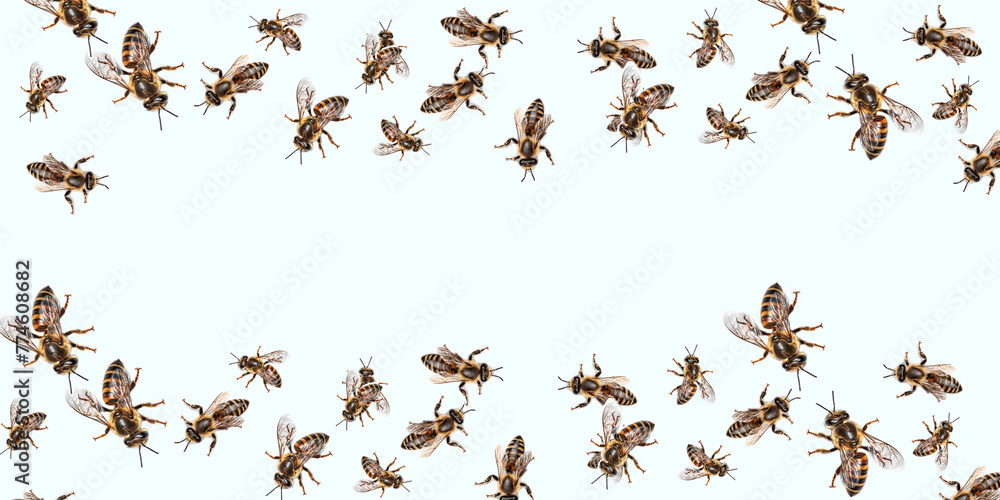 World Bee Day.Honey and bee insect macro shot. A bee collecting pollen. Honey bee walking isolated on transparent background cutout. Ai illustration. A bee collecting pollen. World Bee Day.Honey and bee insect macro shot. A bee collecting pollen. Honey bee walking isolated on transparent background cutout. Ai illustration. A bee collecting pollen.