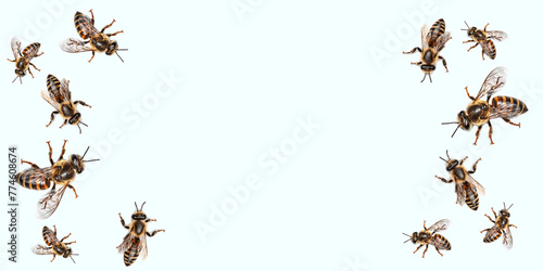World Bee Day.Honey and bee insect macro shot. A bee collecting pollen. Honey bee walking isolated on transparent background cutout. Ai illustration. A bee collecting pollen.