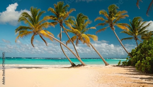 Tropical beach in Punta Cana, Dominican Republic. Palm trees on sandy island in the ocean. © SANTANU PATRA
