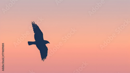 A bird is flying in the sky with a beautiful pink and purple background. The bird is the main focus of the image, and it is soaring through the air with grace and freedom © tracy