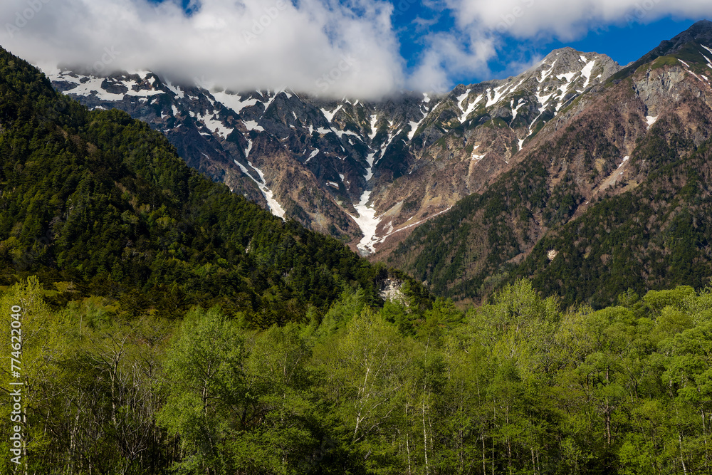 Lush forest and trees in front of imposing, snow-capped mountain peaks under a blue sky