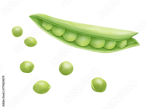 Konstfotografi 割れたスナップエンドウと散らばる豆のリアルな水彩イラスト
