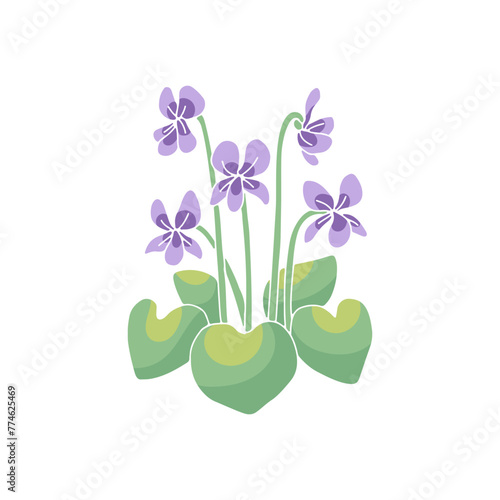 Canary islands stylized blue violet wild flower motif isolated on white background