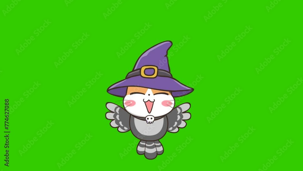 Cat in an owl costume animation, Halloween cat on green screen Cat in an owl costume animation, Halloween cat on green screen