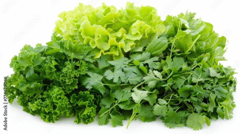 A mound of emerald lettuce perched upon a pristine white table, adjacent to another heap of verdant lettuce A mound of emerald lettuce perched upon a pristine white table, adjacent to another heap of verdant lettuce