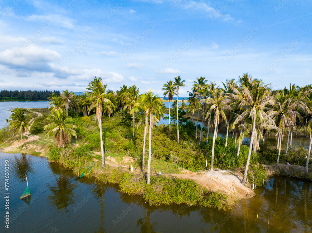 Coconut forest scenery on Coconut Island, Sanya, Hainan, China Coconut forest scenery on Coconut Island, Sanya, Hainan, China