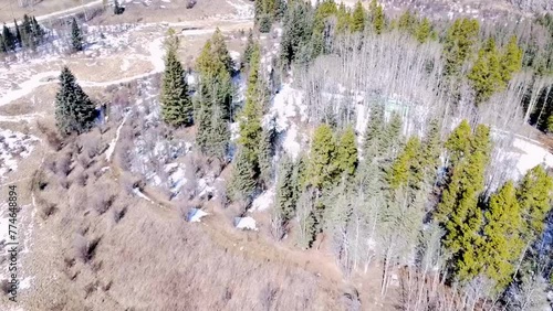 This aerial view captures the transition from winter to spring in a forest, as melting snow reveals patches of dead grass on the forest floor
