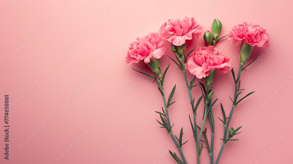 Obraz premium Design concept of Mother's day holiday greeting design with carnation bouquet on pastel pink table background.