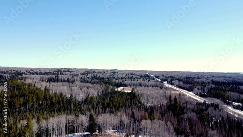 Aerial View of Vast Forest with Rivers, Dirt Roads, and Clearings