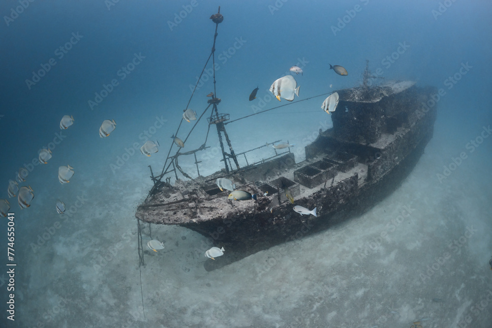 A shipwreck and platax school deep underwater on sandy floor of indian ocean A shipwreck and platax school deep underwater on sandy floor of indian ocean