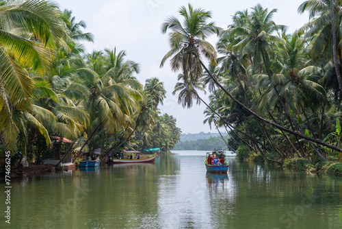 Photography A scenic view of the Honnavar backwaters on the Sabarmati River, featuring lush