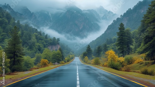   A winding road through forest, mountain range backdrop, fog shrouds the atmosphere © Mikus