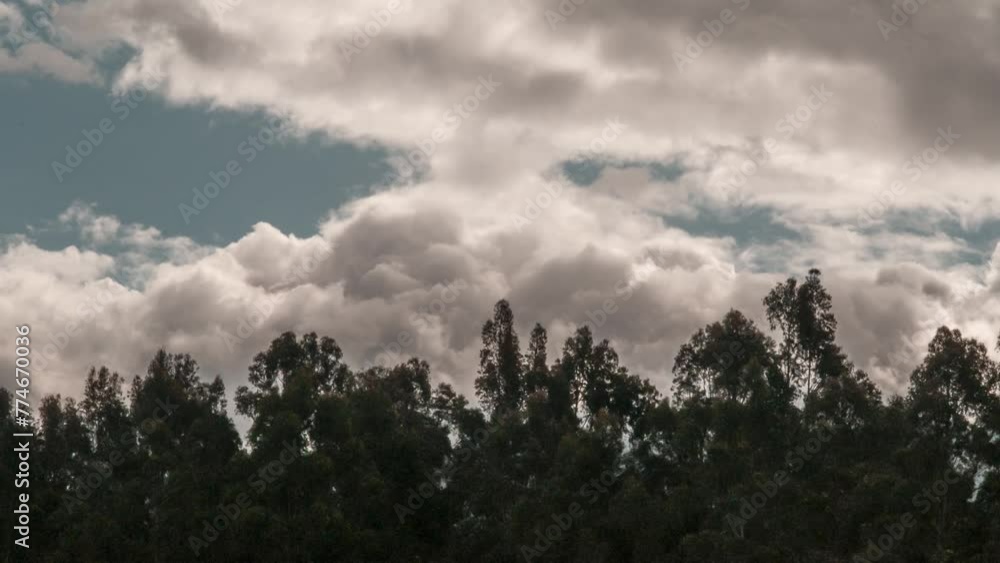 Timelapse of clouds forming a storm and moving over the trees of a forest Timelapse of clouds forming a storm and moving over the trees of a forest