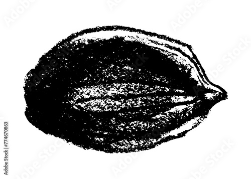 Vector hand-drawn illustration almonds. Black charcoal drawing of almond nut for marzipan paste label design or almond butter packaging. Botanical sketch for ketogenic diet banner.