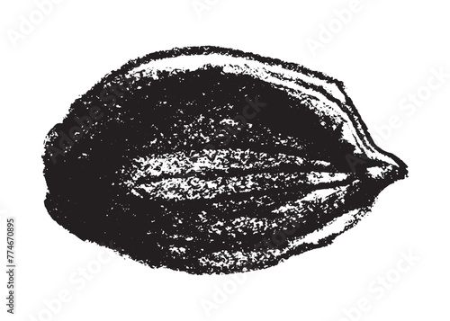 Vector hand-drawn illustration almonds. Black charcoal drawing of almond nut for marzipan paste label design or almond butter packaging. Botanical sketch for ketogenic diet banner.