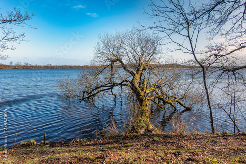 Artificial lake at Karlsgarde in rural Denmark