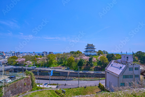 春の八幡山古郭東曲輪跡から小田原市の小田原城、栄町1丁目方面を見る