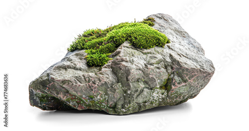 Mossy Rock Stone Isolated Cutout, png file