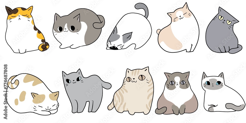 Obraz premium cute cat illustration